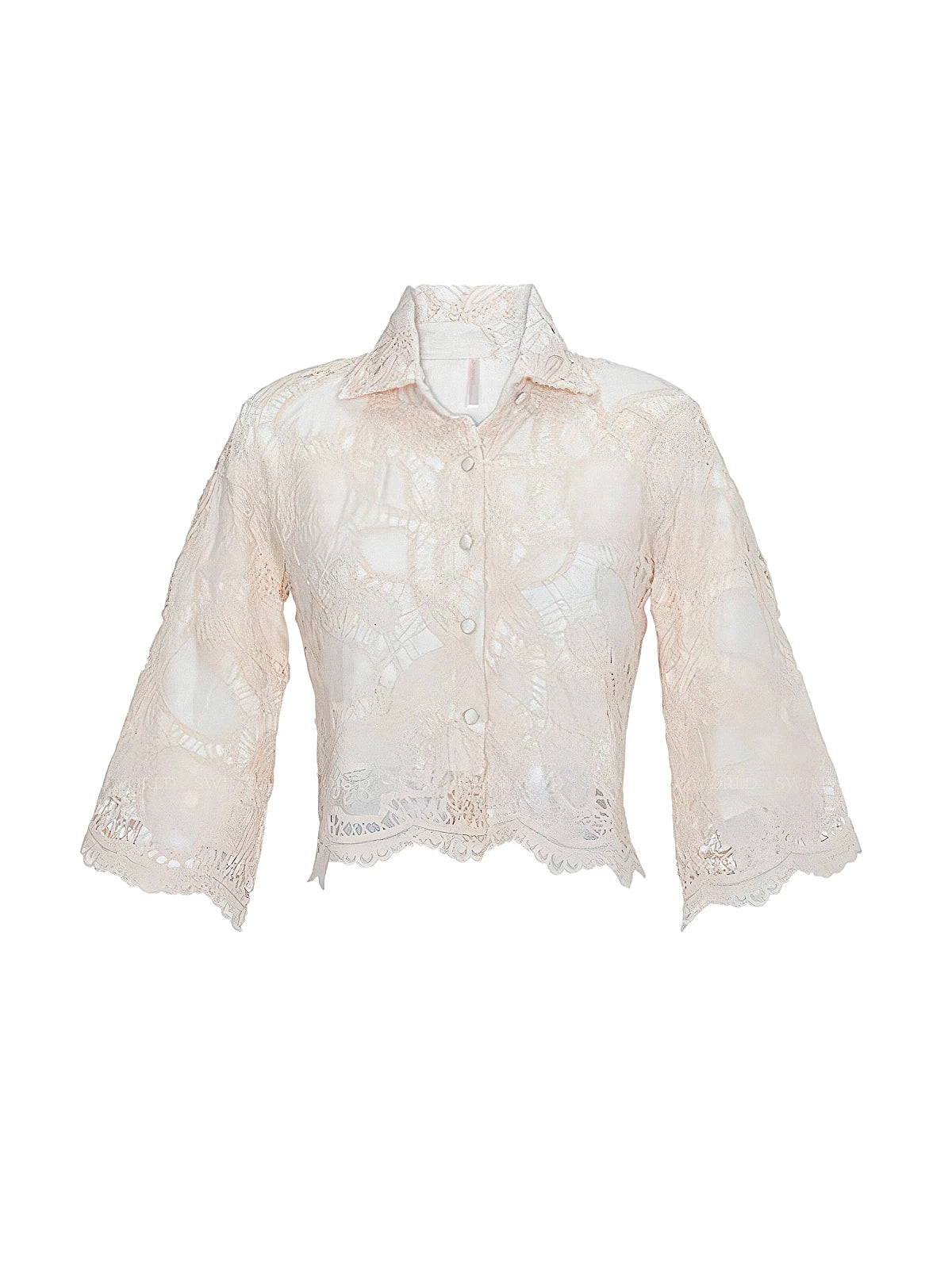 Aguaclara: Charme-448A Shirt (CHARME-448A)