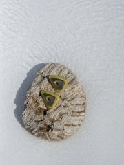 Baobab: Santorini Earrings (2401108)