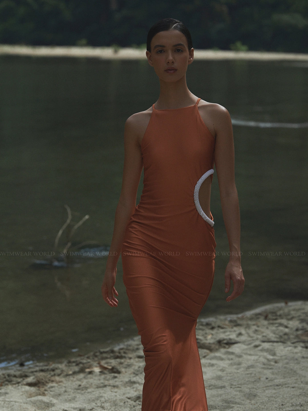 baobab brown dress Leo Dress
