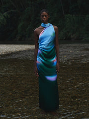 Baobab: Ari Dress (4320506)