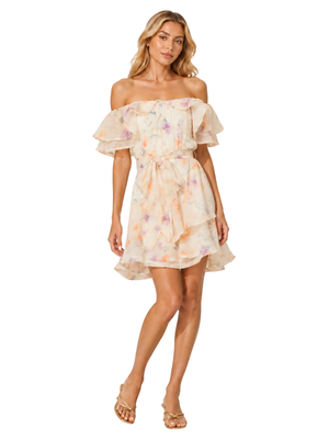 Livette Mini Dress