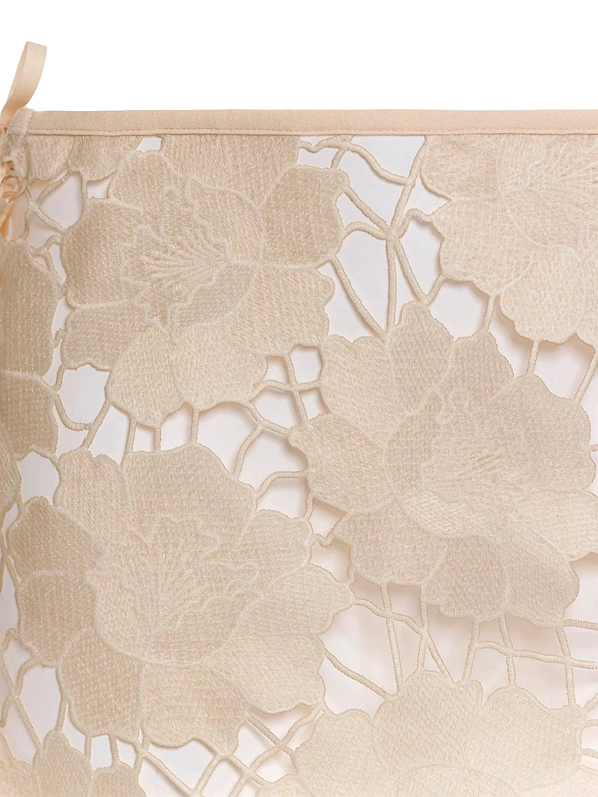 Agua Bendita: Karla Pareo (20038)