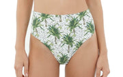Kentia Palm Crown-Kentia Palm Moon Bay Bikini