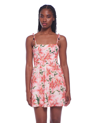 Peixoto: Paisley Mini Dress (46001-HWNBLM)