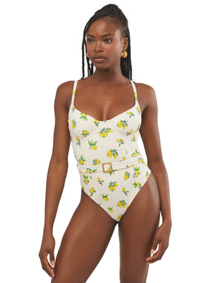 We Wore What: Underwire One Piece (WWS54-01-ZVG)